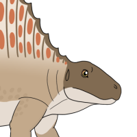 Thumbnail for ANI-4120: Kerr