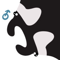 Thumbnail for ANI-4122: Manta Ray (M)