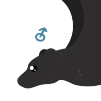 Thumbnail for ANI-4123: Black Flying Fox (M)