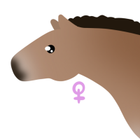 Thumbnail of ANI-4127: Saran