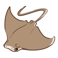 Thumbnail for ANI-4145: Cownose Ray (F)