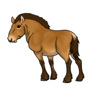 Thumbnail image for ANI-4148: Rhett