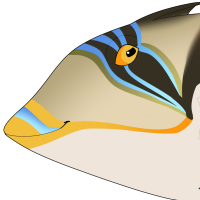 Thumbnail image for ANI-4176: GPC - Tahir