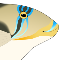 Thumbnail image for ANI-4177: GPC - Anisa