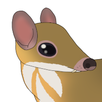 Thumbnail for ANI-4179: Frank