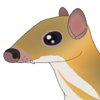 Thumbnail for ANI-4180: Ollie