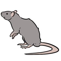 Thumbnail for ANI-4183: Clinic