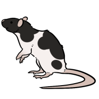 Thumbnail for ANI-4184: Eclair