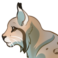 Thumbnail for ANI-4208: bobcat construction equipment