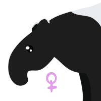 Thumbnail for ANI-4211: Malayan Tapir (F)