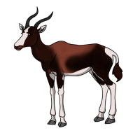 Thumbnail for ANI-4221: Vigilance