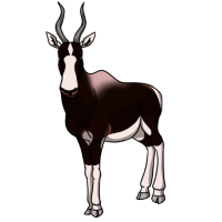 Thumbnail for ANI-4222: Hark