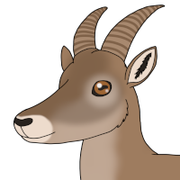 Thumbnail of ANI-4225: Meadow