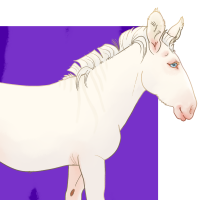 Thumbnail for ANI-4235: Peppermint