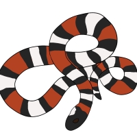 Thumbnail for ANI-4243: Flutter shy