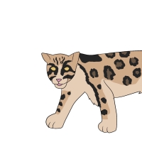 Thumbnail for ANI-4244: Phoenix