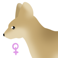 Thumbnail for ANI-4249: Squeak