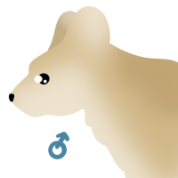 Thumbnail for ANI-4250: Pip