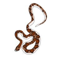 Thumbnail for ANI-4255: Pinkie Pie