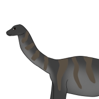 Thumbnail for ANI-4256: Phil