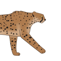 Thumbnail for ANI-4263: Lola