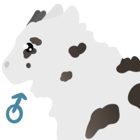 Thumbnail image for ANI-4271: Shiro