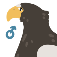 Thumbnail for ANI-4278: Steller's Sea Eagle (M)