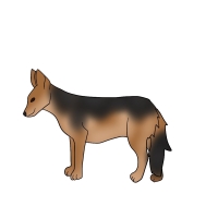 Thumbnail for ANI-4283: Jacklyn