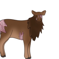 Thumbnail for ANI-4284: Florence