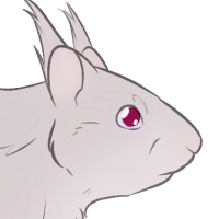 Thumbnail for ANI-4298: Shelley 🧟