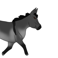 Thumbnail for ANI-4332: Orion