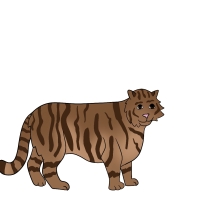 Thumbnail image for ANI-4338: Mocha