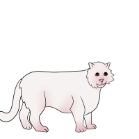 Thumbnail for ANI-4339: Blizzard