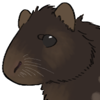 Thumbnail for ANI-4343: Coco (M)