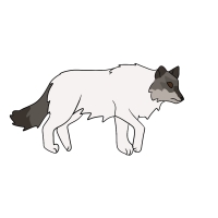 Thumbnail of ANI-4355: Rhea