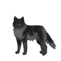 Thumbnail for ANI-4356: Freya