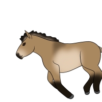 Thumbnail image for ANI-4358: Sirius