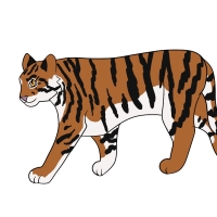 Thumbnail for ANI-4359: Miley Cyrus