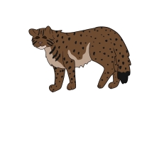 Thumbnail for ANI-4361: Grayson