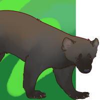 Thumbnail for ANI-4367: Fisher (F)