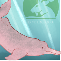 Thumbnail for ANI-4370: Amazon River Dolphin (F)