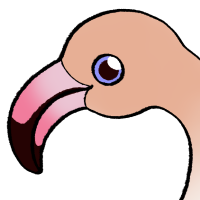 Thumbnail for ANI-4372: Greater Flamingo (F)