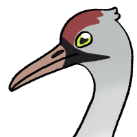 Thumbnail for ANI-4373: Whooping Crane (F)