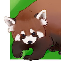 Thumbnail for ANI-4384: Red Panda (F)