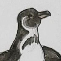 Thumbnail for ANI-4391: Beak