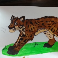Thumbnail for ANI-4419: Leopard Cat (M)