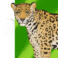Thumbnail for ANI-4433: Jaguar (F)