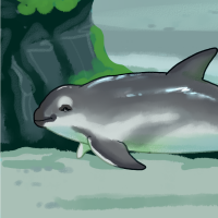Thumbnail for ANI-4434: Vaquita (F)