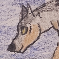 Thumbnail for ANI-4443: Jackson