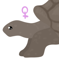 Thumbnail for ANI-4449: Florence